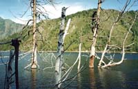 Саяно-Шушенское водохранилище